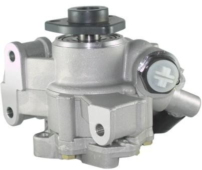 Power Steering Pump BENZ 24669001