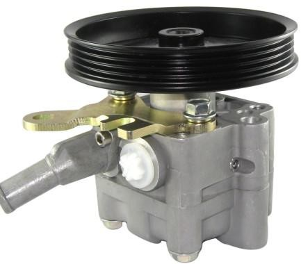Power Steering Pump NISSAN 49110-AV700 49110-BA00A 49110-BZ00C 49110-5M700