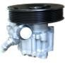 Power Steering Pump CHEVROLET 5491881