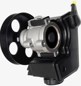 Power Steering Pump PEUGEOT 4007.V5 (137mm)