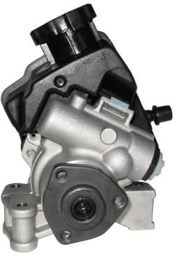 Power Steering Pump BENZ 24667501