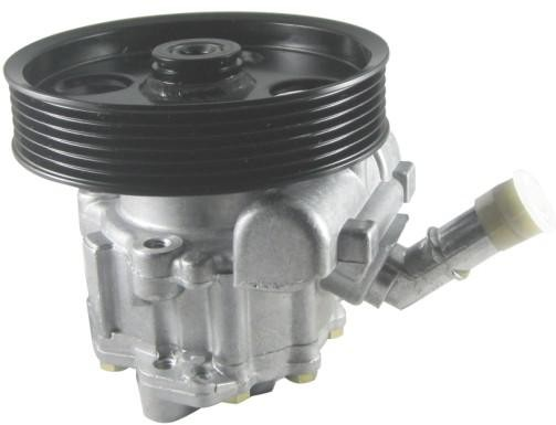 Power Steering Pump GREATWALL WINGLE